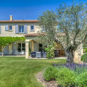 Indigo , Saint-Rémy-de-Provence France