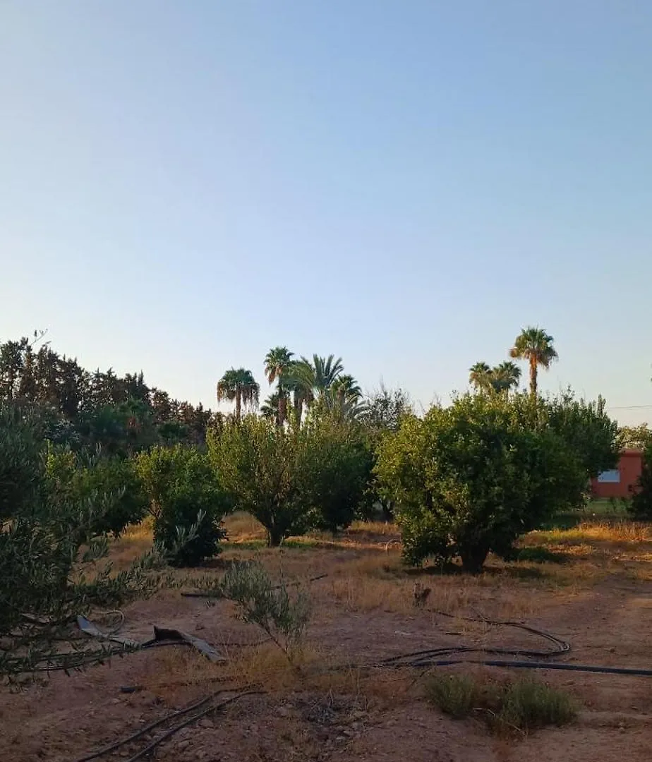 Villa Rayan Marrakech Secteur Palmeraie Dans Propriete De 2 Hectares Avec Jardin Arbres Fruitiers Marakéš 0*,